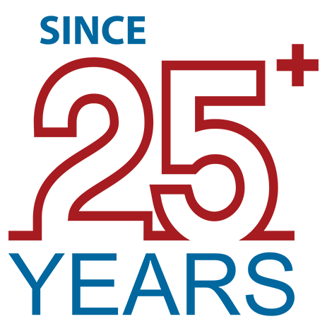 25 Years Celebration Icon